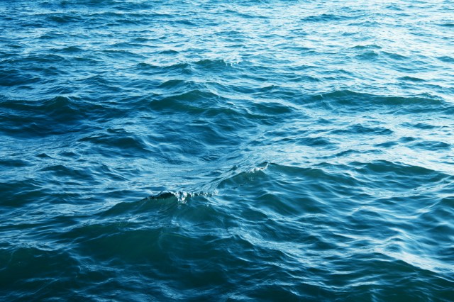 Fishing Smart with Tide Knowledge: Enhance Your Catch Rates in Saltwater Areas